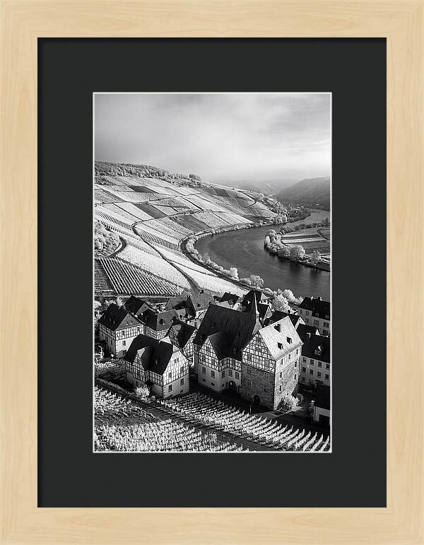 Bernkastel Kues Overlooking Mosel Valley