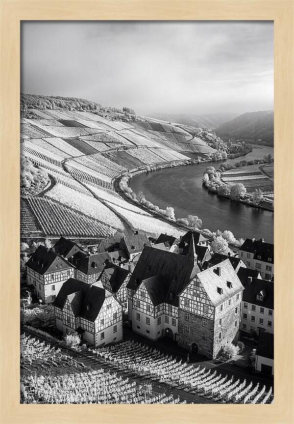 Bernkastel Kues Overlooking Mosel Valley