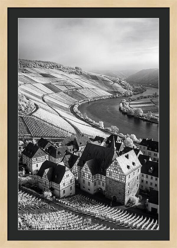 Bernkastel Kues Overlooking Mosel Valley