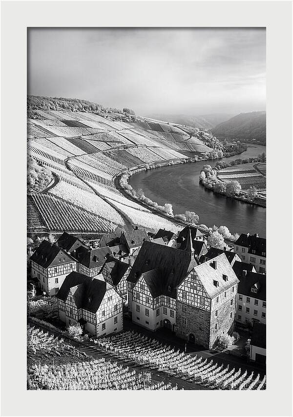 Bernkastel Kues Overlooking Mosel Valley