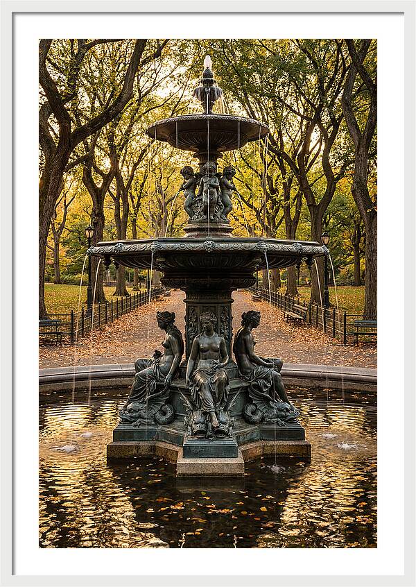 Bethesda Fountain Serenity