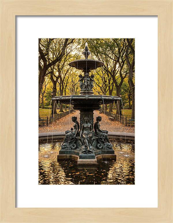 Bethesda Fountain Serenity