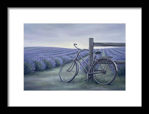 Bicycle Against Lavender Fields