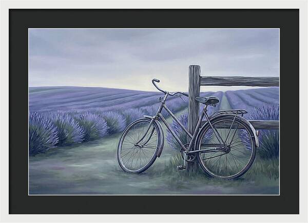 Bicycle Against Lavender Fields