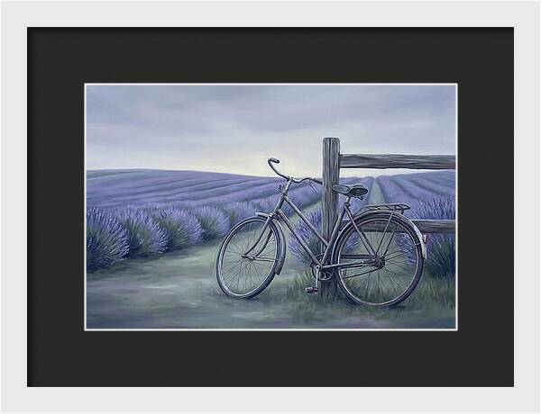 Bicycle Against Lavender Fields