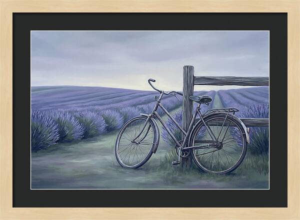 Bicycle Against Lavender Fields