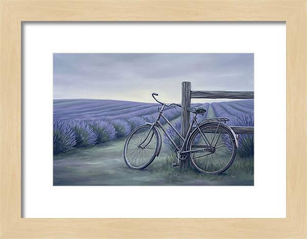 Bicycle Against Lavender Fields