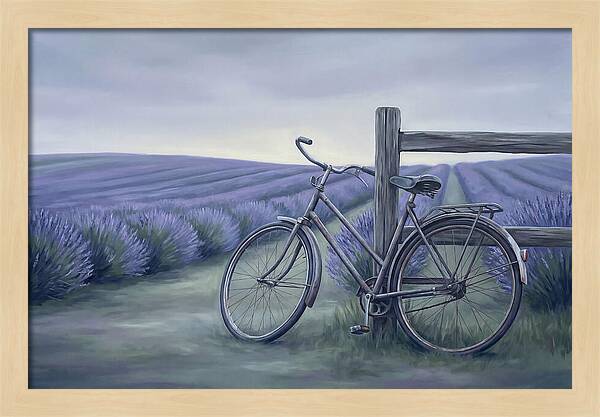 Bicycle Against Lavender Fields