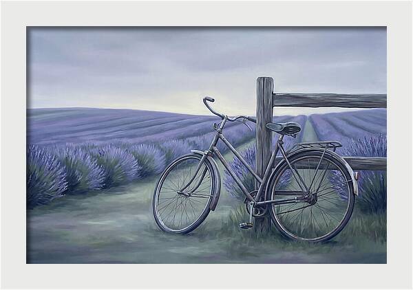 Bicycle Against Lavender Fields