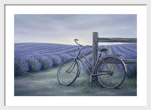Bicycle Against Lavender Fields