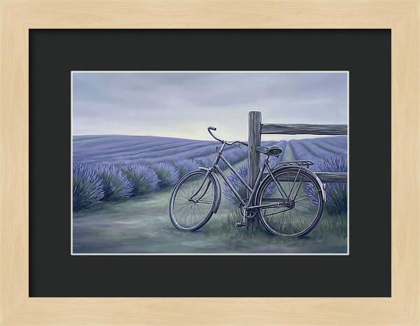 Bicycle Against Lavender Fields