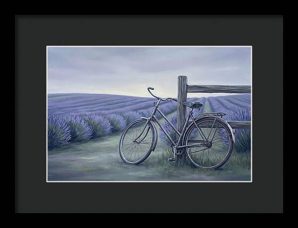 Bicycle Against Lavender Fields