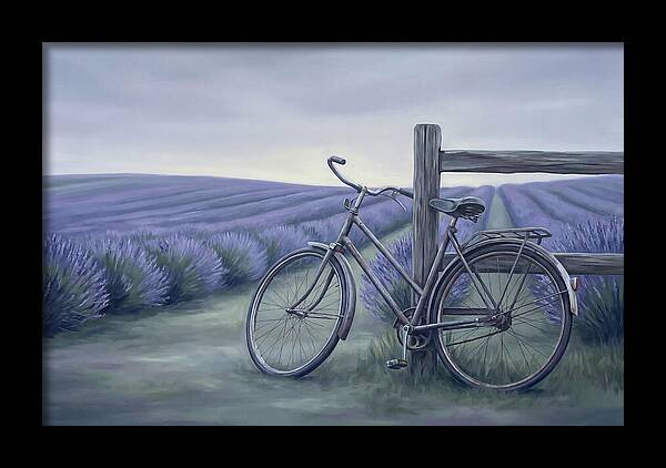 Bicycle Against Lavender Fields