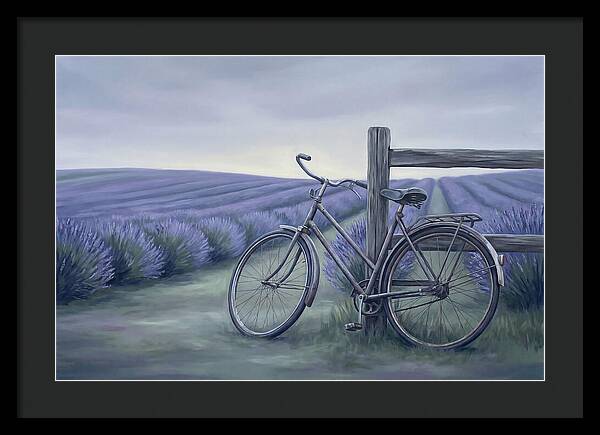 Bicycle Against Lavender Fields