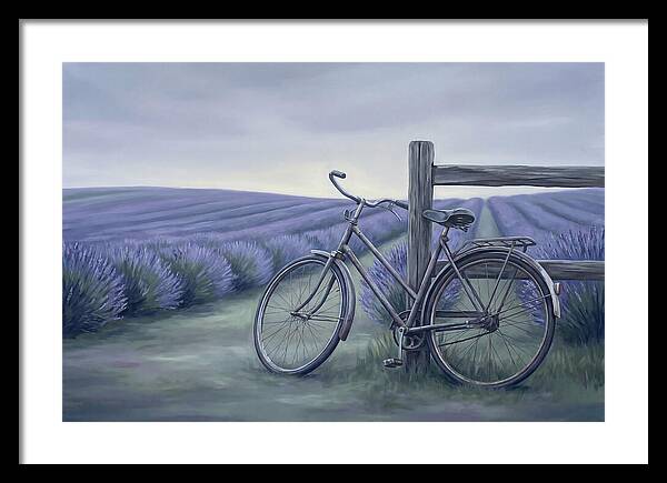 Bicycle Against Lavender Fields