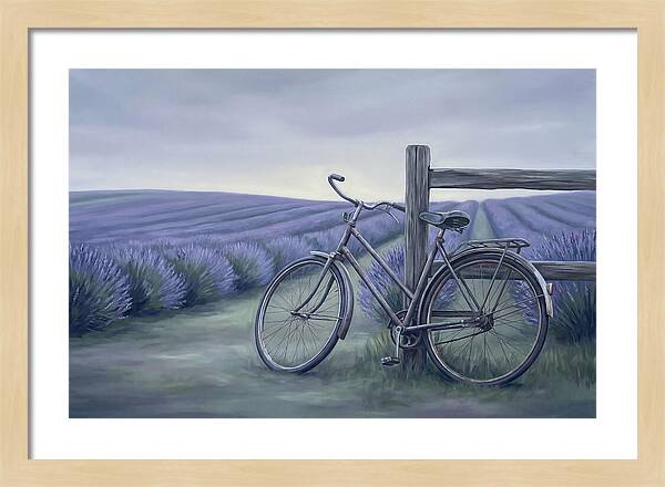 Bicycle Against Lavender Fields