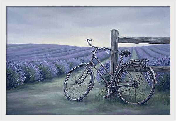 Bicycle Against Lavender Fields