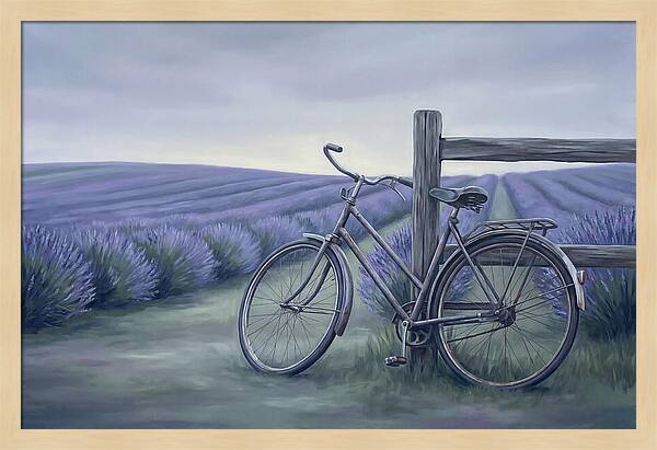 Bicycle Against Lavender Fields