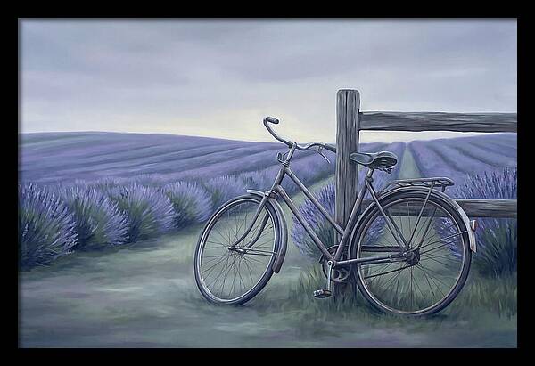 Bicycle Against Lavender Fields