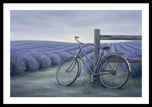 Bicycle Against Lavender Fields