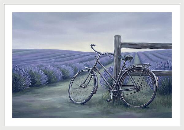 Bicycle Against Lavender Fields
