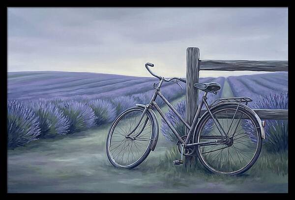 Bicycle Against Lavender Fields