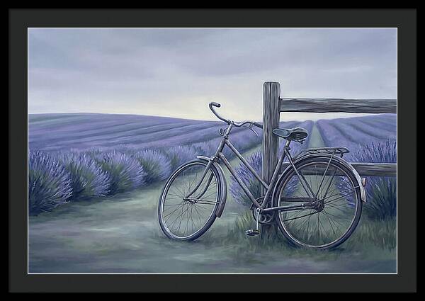 Bicycle Against Lavender Fields