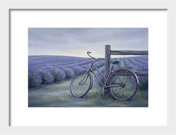 Bicycle Against Lavender Fields