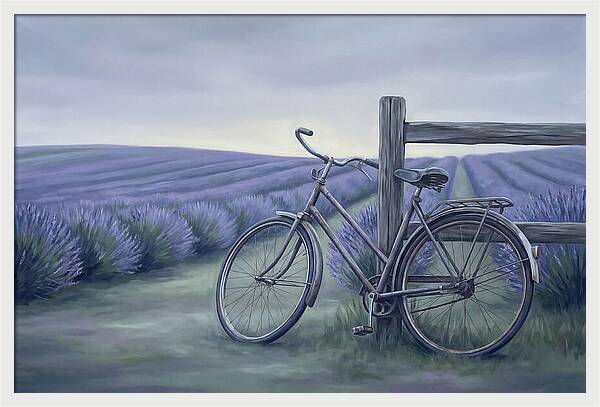 Bicycle Against Lavender Fields