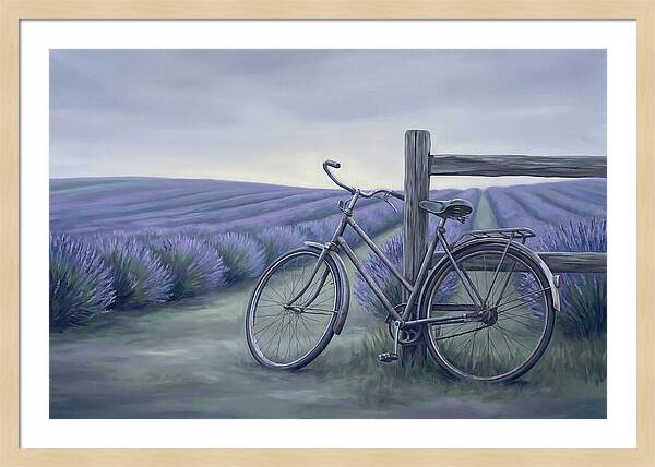 Bicycle Against Lavender Fields