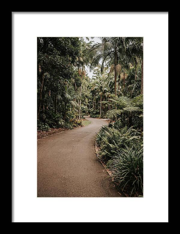 Bicycle Path Through Lush Greenery