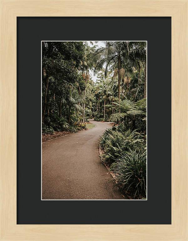 Bicycle Path Through Lush Greenery