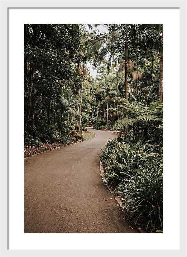 Bicycle Path Through Lush Greenery