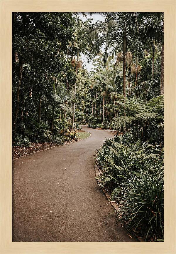 Bicycle Path Through Lush Greenery