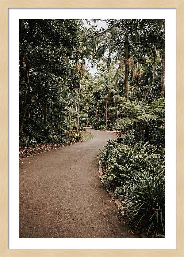 Bicycle Path Through Lush Greenery