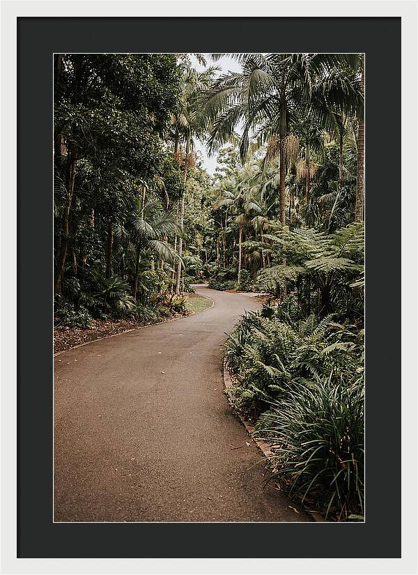 Bicycle Path Through Lush Greenery