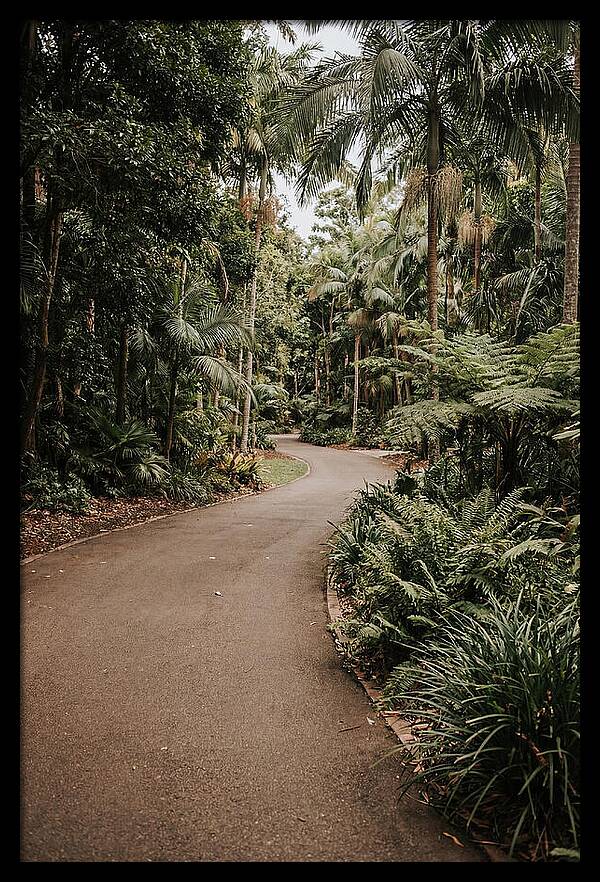 Bicycle Path Through Lush Greenery