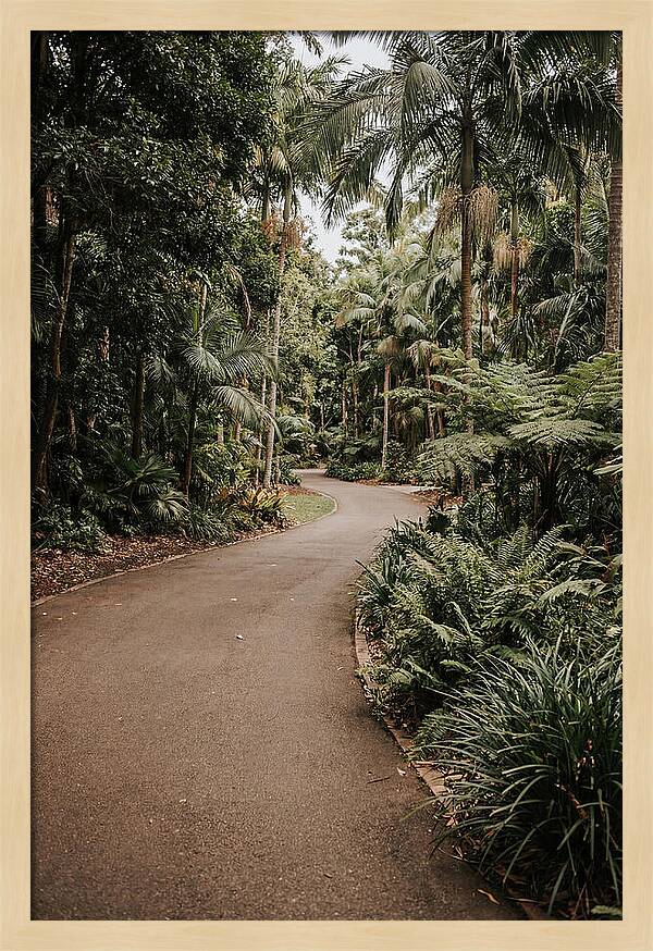 Bicycle Path Through Lush Greenery