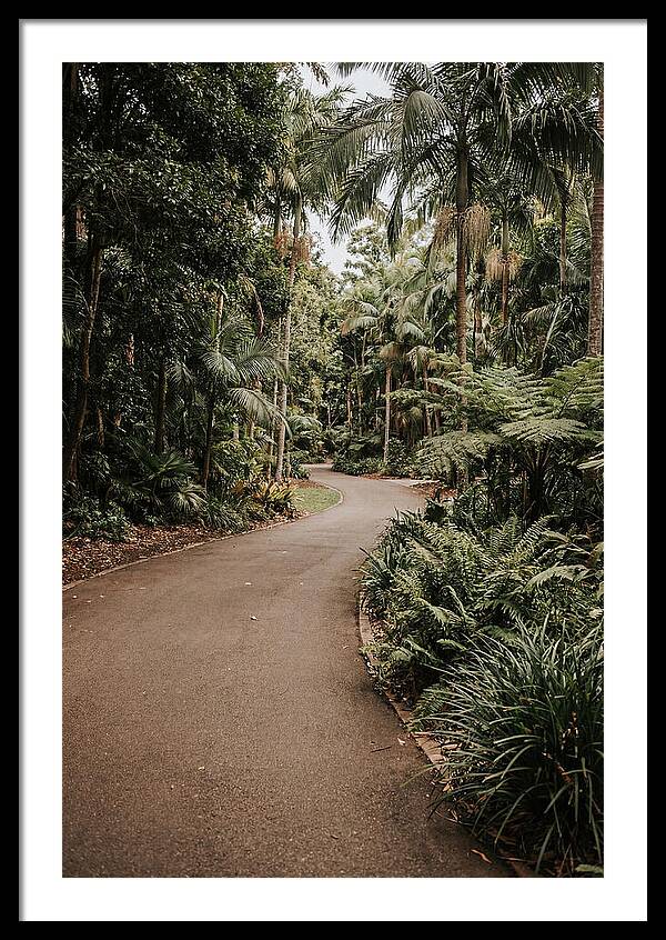 Bicycle Path Through Lush Greenery
