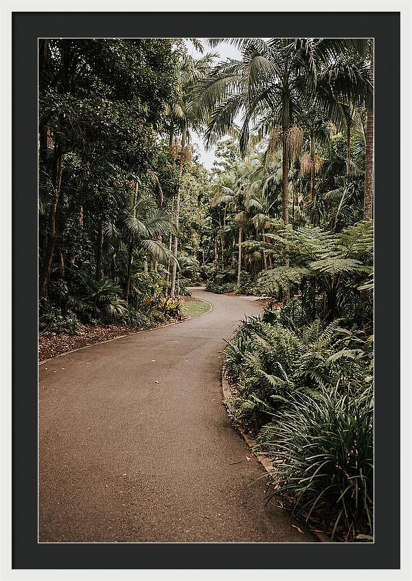 Bicycle Path Through Lush Greenery