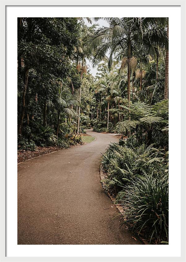 Bicycle Path Through Lush Greenery