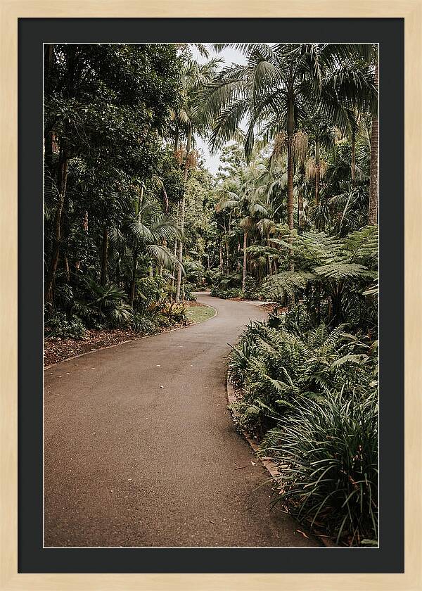 Bicycle Path Through Lush Greenery