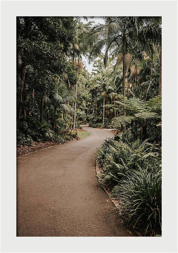 Bicycle Path Through Lush Greenery