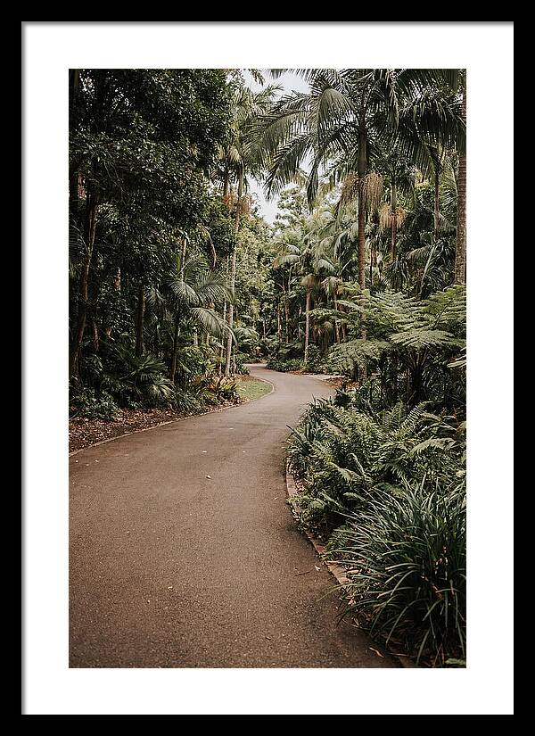 Bicycle Path Through Lush Greenery