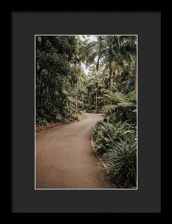 Bicycle Path Through Lush Greenery