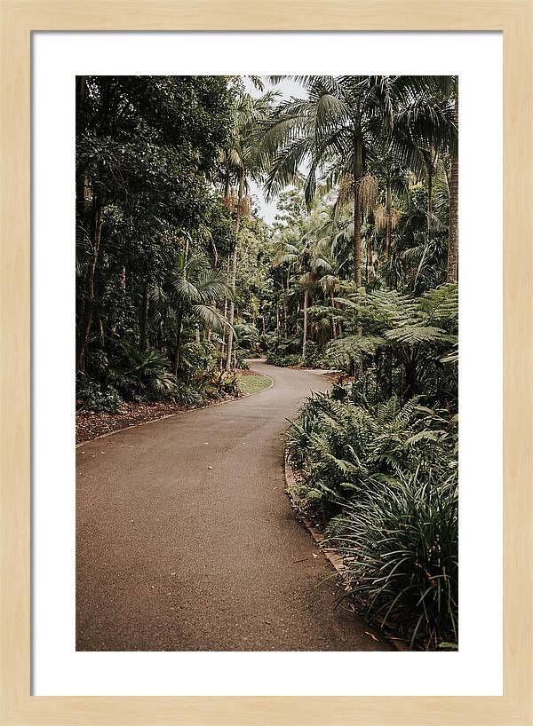 Bicycle Path Through Lush Greenery