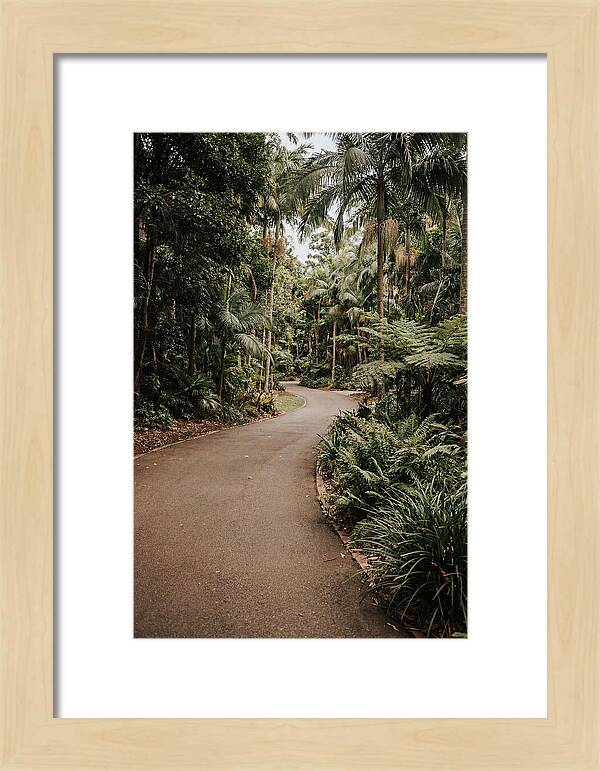 Bicycle Path Through Lush Greenery