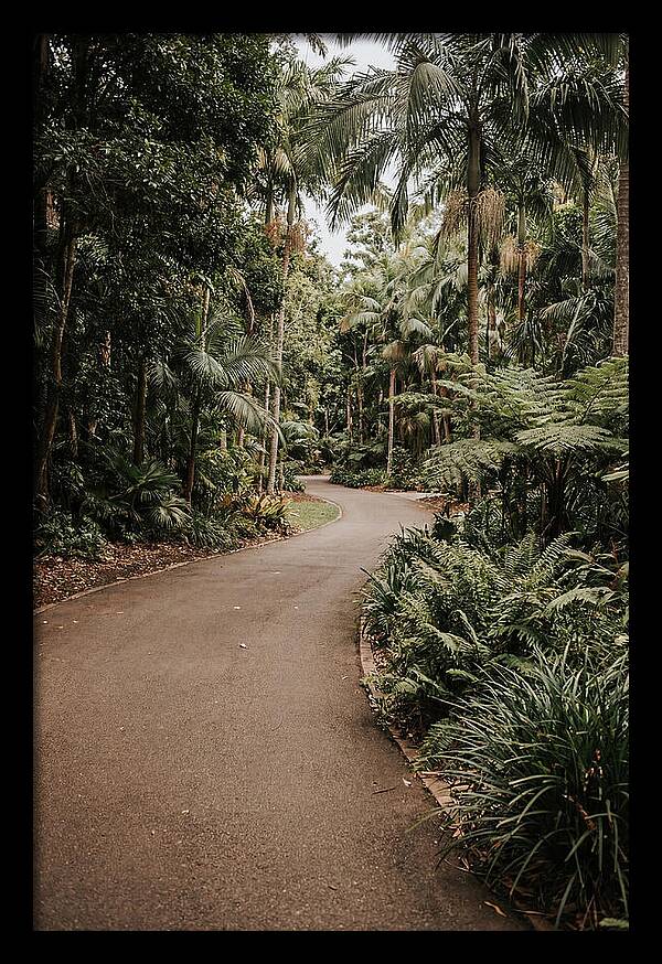 Bicycle Path Through Lush Greenery