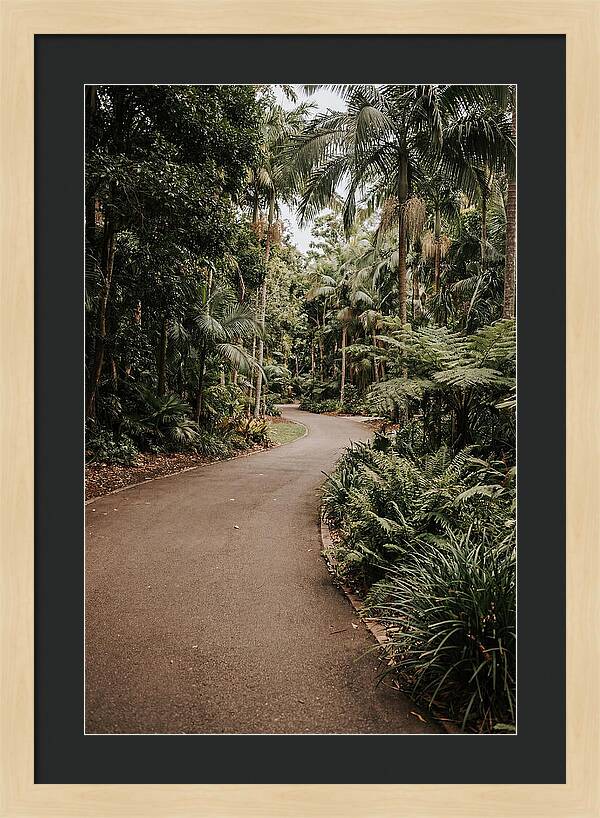 Bicycle Path Through Lush Greenery