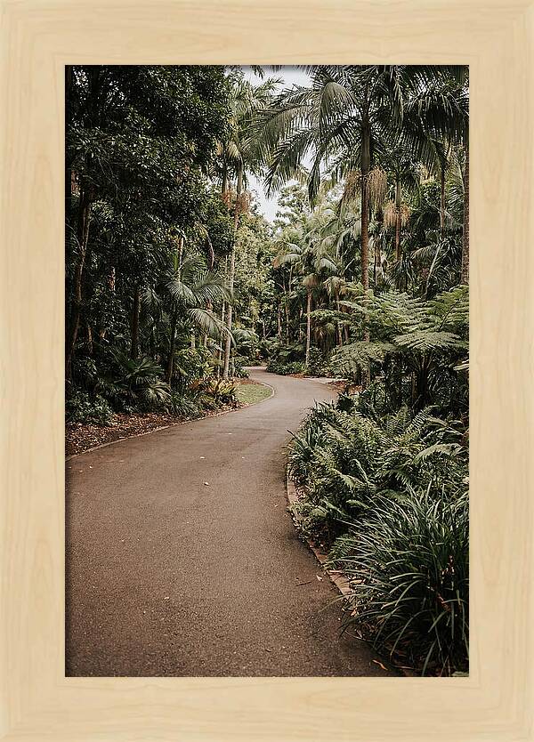 Bicycle Path Through Lush Greenery